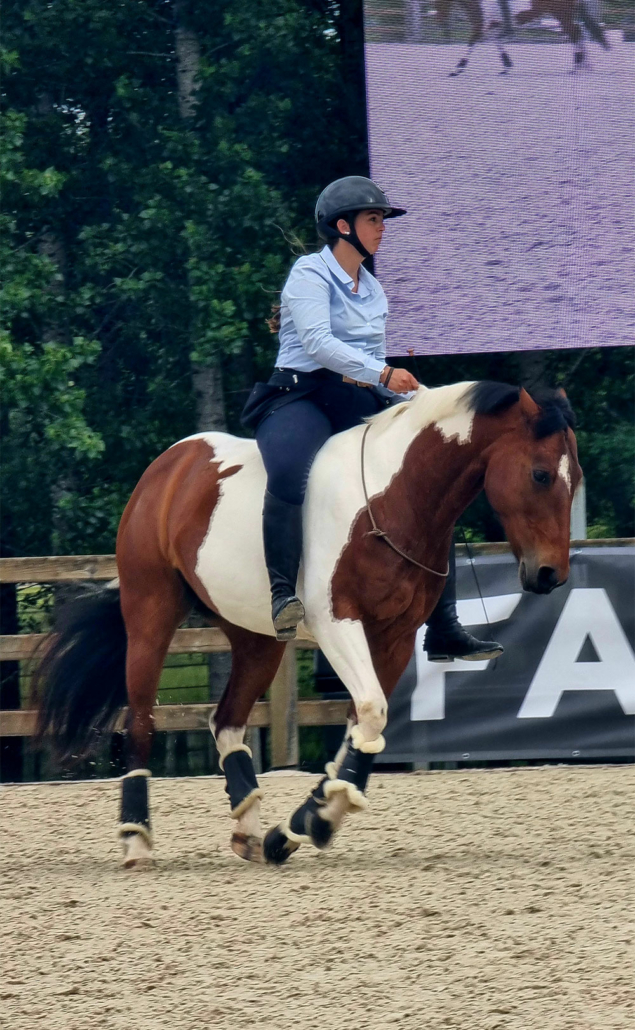 Mélanie le gourrierec - équitation éthologique